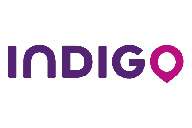 Indigo sem fundo